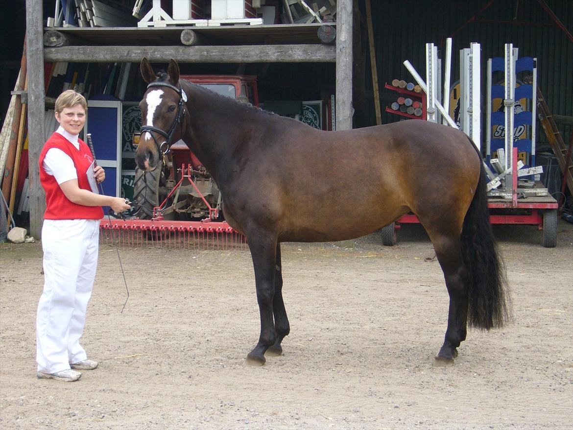 Oldenborg Zenia Af Østerdovergaard ROL 9729 billede 14