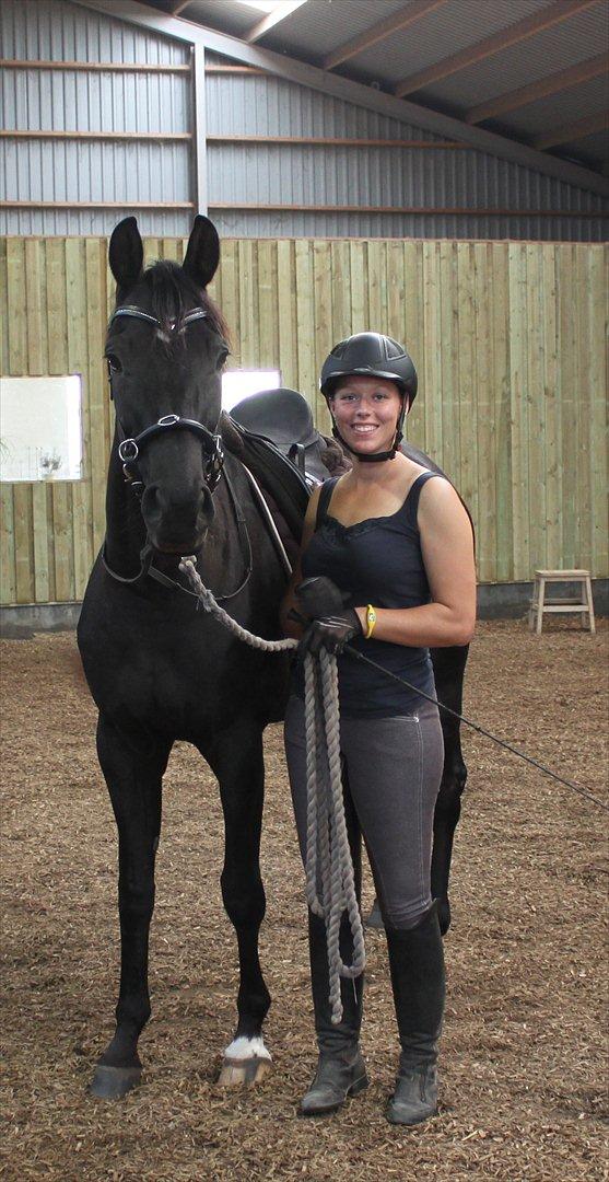 Dansk Varmblod Zoffia billede 2