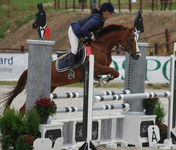 Welsh Pony (sec B) Creekmanns Cherie - MB Stall Melby billede 19