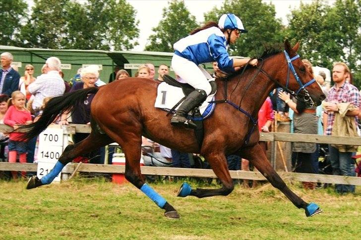 Traver Emir - væddeløb i pandrup
D 21-8-2011 billede 19