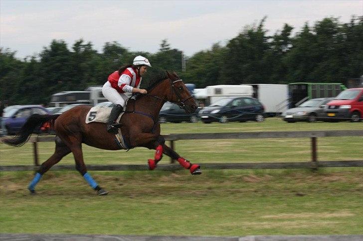 Traver Emir - væddeløb i pandrup
D 21-8-2011 billede 20