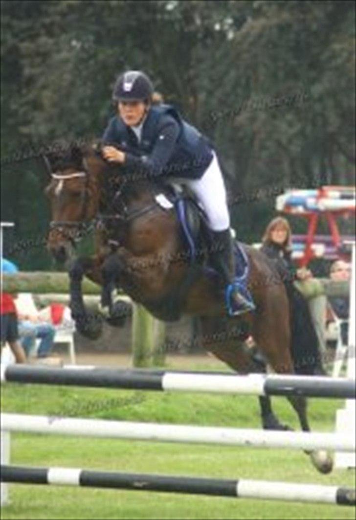 New Forest | Tårups Newton - Til danmarkscuppen 2011 Finale - 8 plads! <3 Foto: Pernille Kirstine billede 3