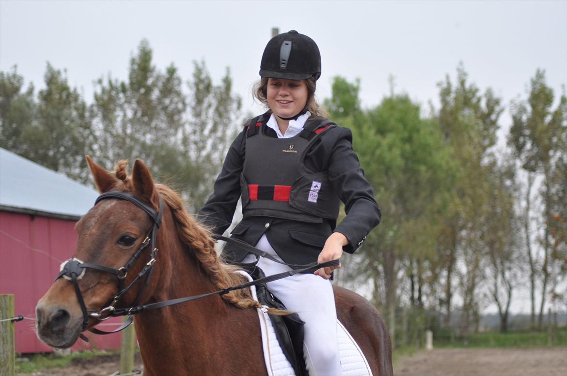 Islænder / Araber Sussi *Elev hest* - Skøre hest! :D 
Elsker dig smukke!<3 billede 19