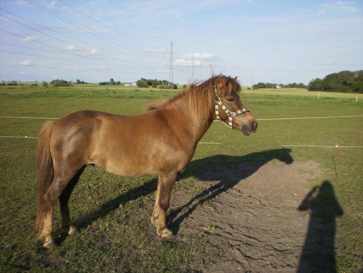 Anden særlig race Lotte - Lotte :) billede 5