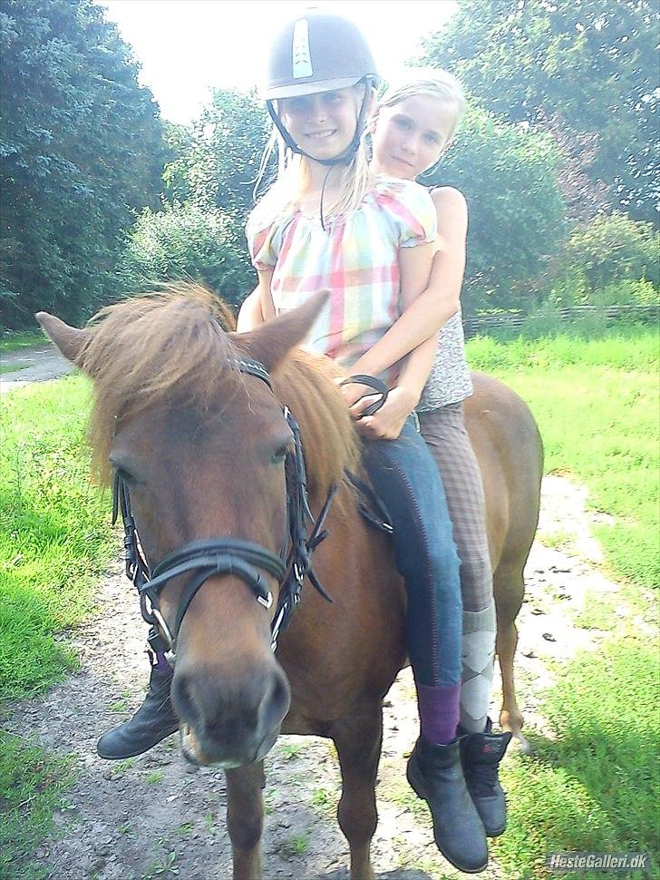 Anden særlig race Lotte - Lotte, mig og Marika  billede 2