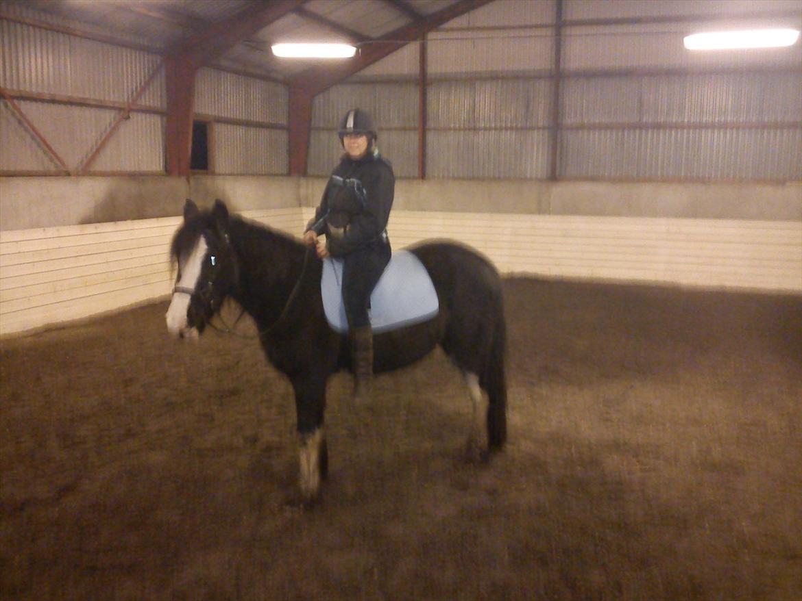 Tinker Kragelunds Darcy - Endelig et ridebillede :-) Desværre lidt rystet... billede 20