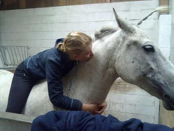 Anden særlig race Moody Bluse - Hygge i stalden :-) billede 4