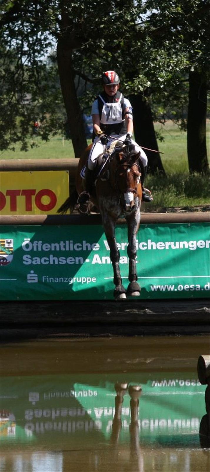 Hannoveraner Felix - CCI2** i Tyskland/Hohenberg-Krusemarke. EM kvalifikation for young rider 2011. billede 8