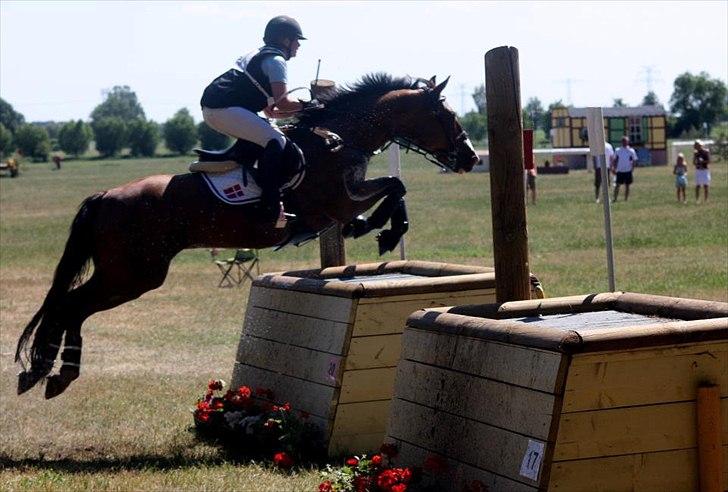 Hannoveraner Felix - CCI2** i Tyskland/Hohenberg-Krusemarke. EM kvalifikation for young rider 2011. billede 9