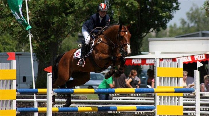 Hannoveraner Felix - CCI2** i Tyskland/Hohenberg-Krusemarke. EM kvalifikation for young rider 2011. billede 10