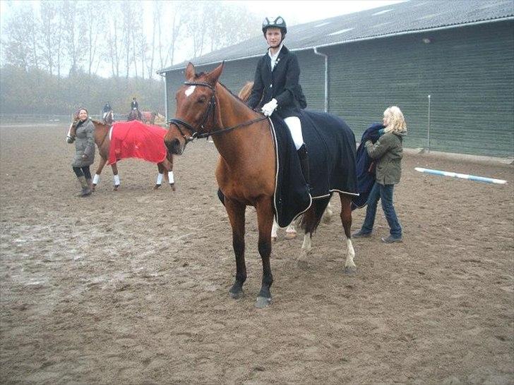 Dansk Varmblod TRÉSOR - Mit første stævne på hende. LC1. 2 plads :-D billede 18
