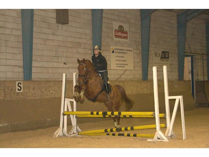 {{currentPhoto.altText}} billede {{currentPhoto.number}}