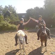 Anden særlig race Lilo