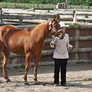 Quarter Our Moonknight Rocks