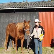 Quarter Our Moonknight Rocks