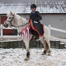 Anden særlig race Mon ami