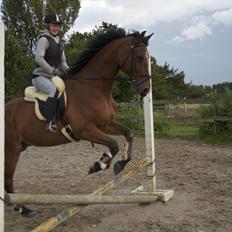 Anden særlig race Bob <3 (R.I.P :'( <3)