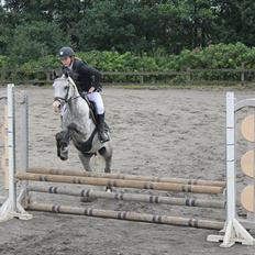 Anden særlig race Fandango (springer )