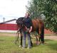 Welsh Cob (sec D) Beukenorrd's Babbeloe (felix) Himmelhest