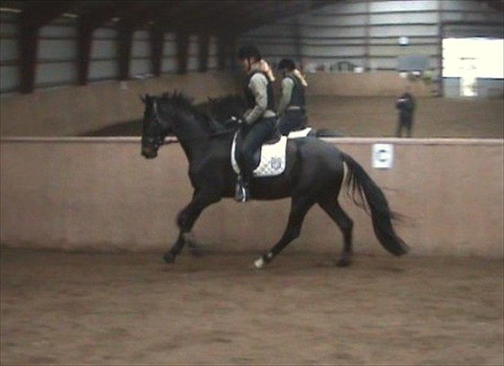 Dansk Varmblod Ranova - d. 23/10-11. 2. gag vi galoppere. billede 11