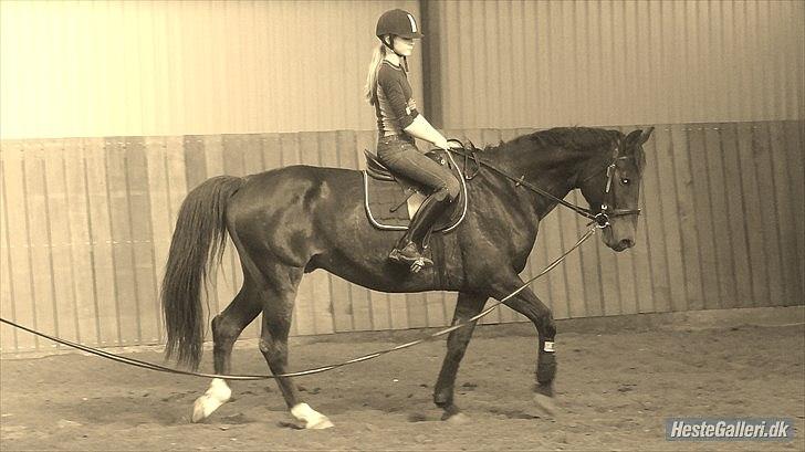 Anden særlig race Charles (Himmelhest) - Charles og jeg, - første gang på ryggen af ham! :-D.
 billede 1