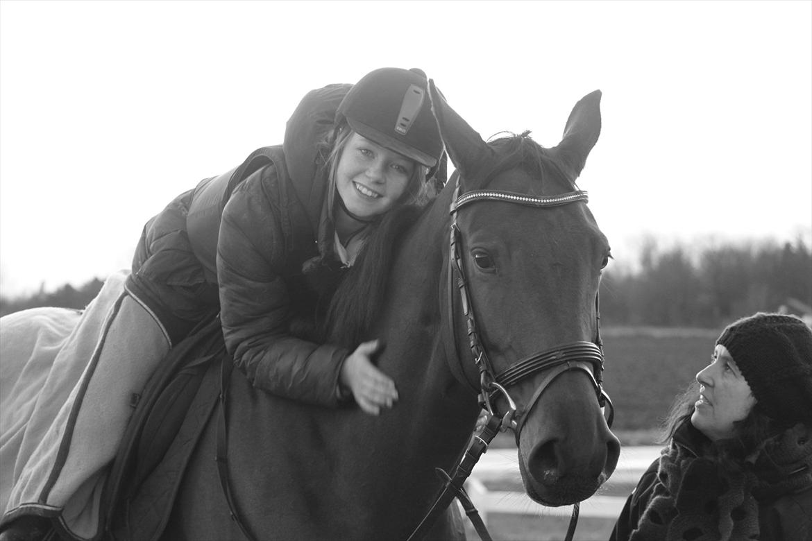Hannoveraner Rufina - Min dejlige Rufina! <3 billede 2