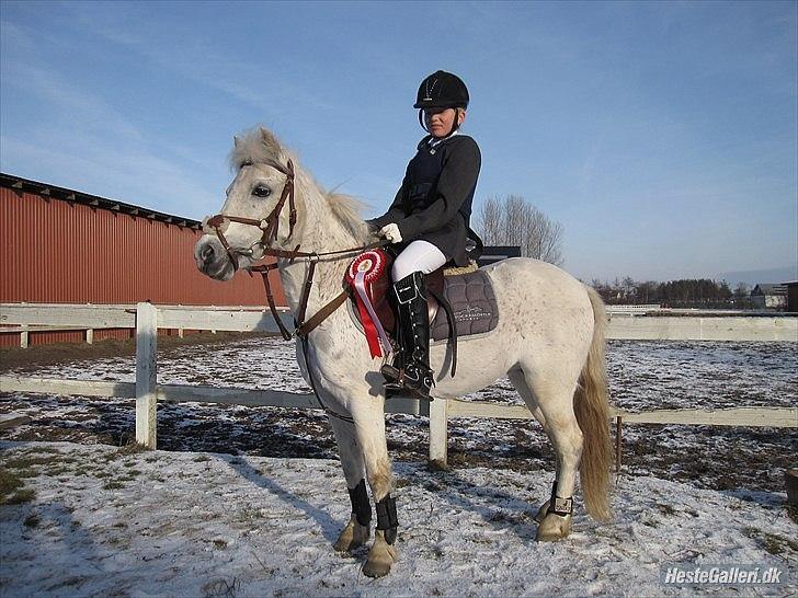 Anden særlig race Mon ami billede 2