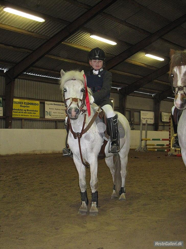 Anden særlig race Mon ami billede 3