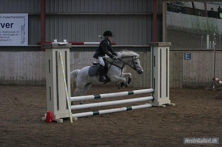 Anden særlig race Mon ami billede 4