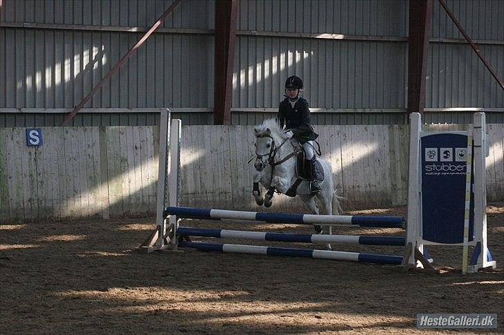 Anden særlig race Mon ami billede 6