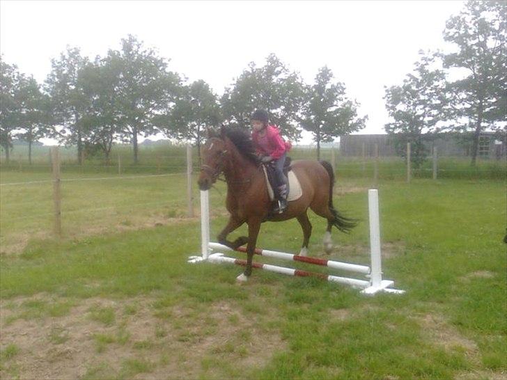Traver Mac Farline - <3 billede 12
