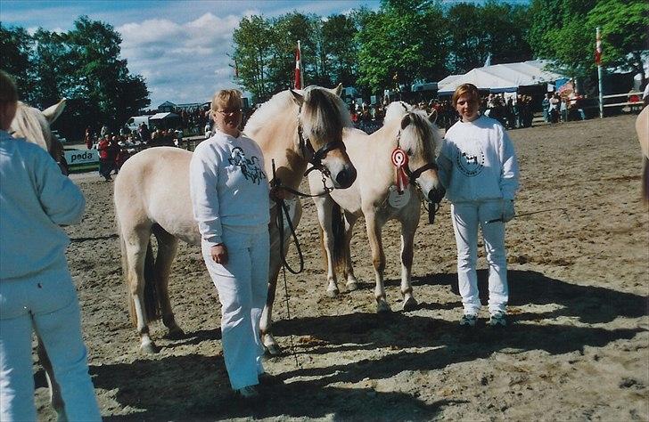 Fjordhest Johanne Vårby - Johanne på Dyrskue sammen med Chili billede 10