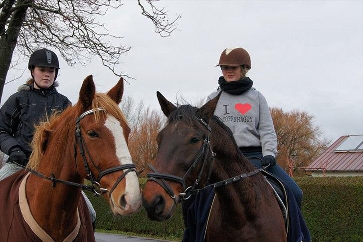 Traver Rune All Over (SAVNES!!) <3 - jeg savner dig sådan min dreng!♥ billede 2