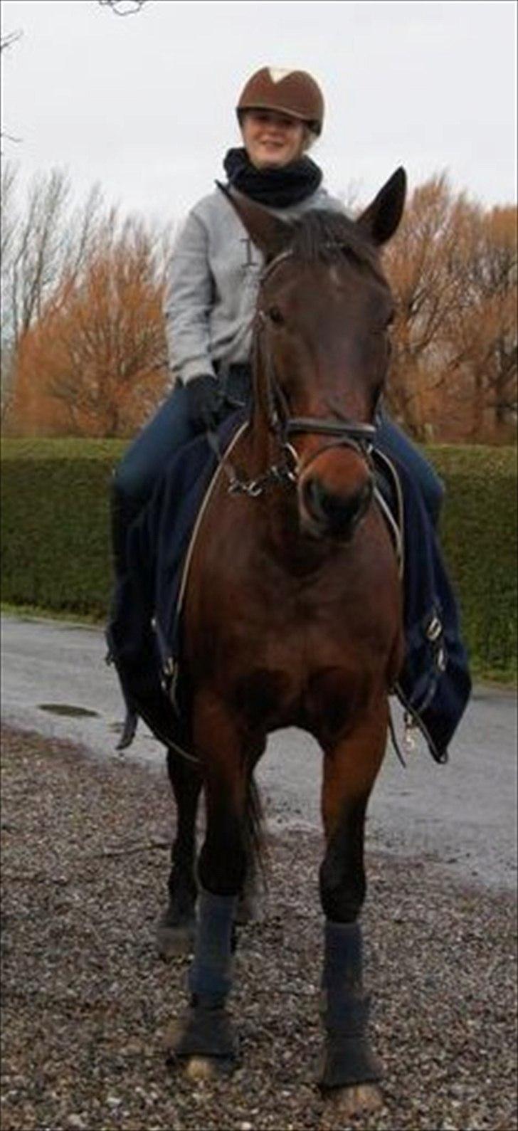 Traver Rune All Over (SAVNES!!) <3 - For verden er du måske bare en hest, men for mig er du hele verden.♥♥♥ billede 18