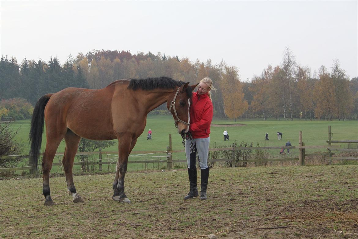 Anden særlig race Bob <3 (R.I.P :'( <3) - Søde Bæst på fold. :)  billede 5