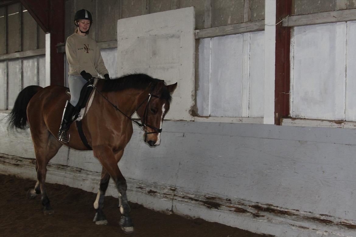 Anden særlig race Bob <3 (R.I.P :'( <3) - Fiiine basse. :)  billede 6