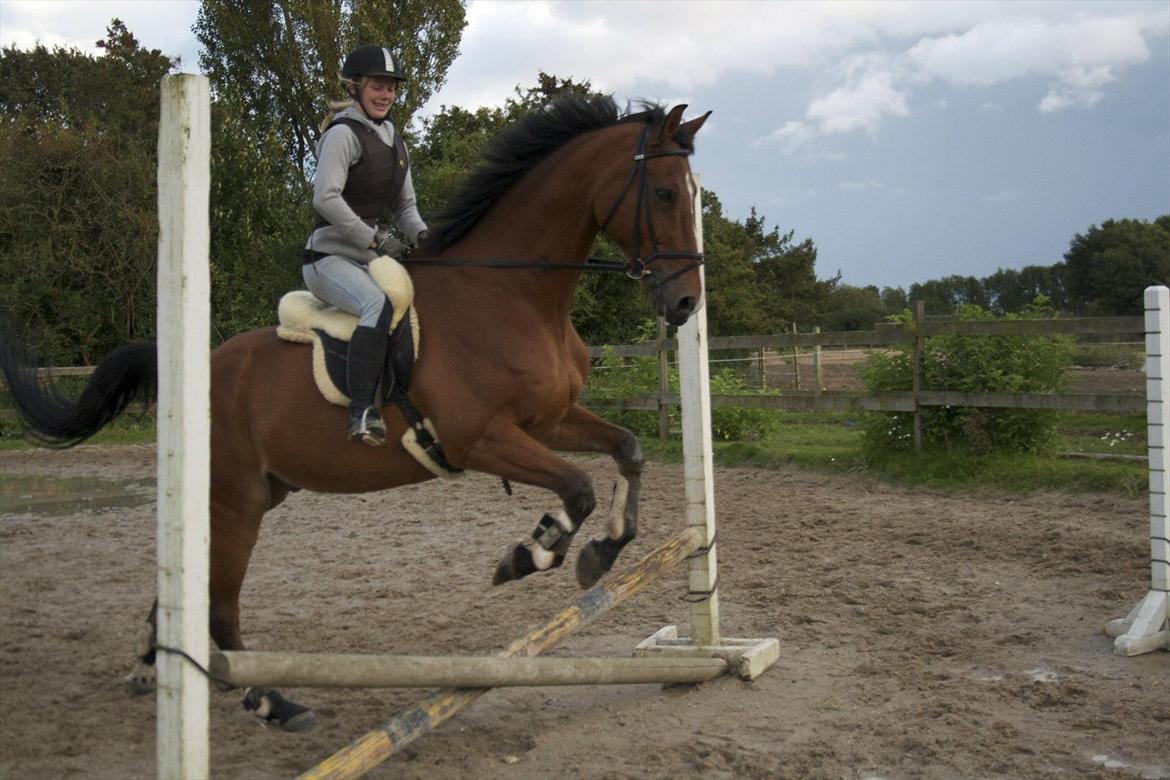 Anden særlig race Bob <3 (R.I.P :'( <3) - Sødde basse. :D  billede 3