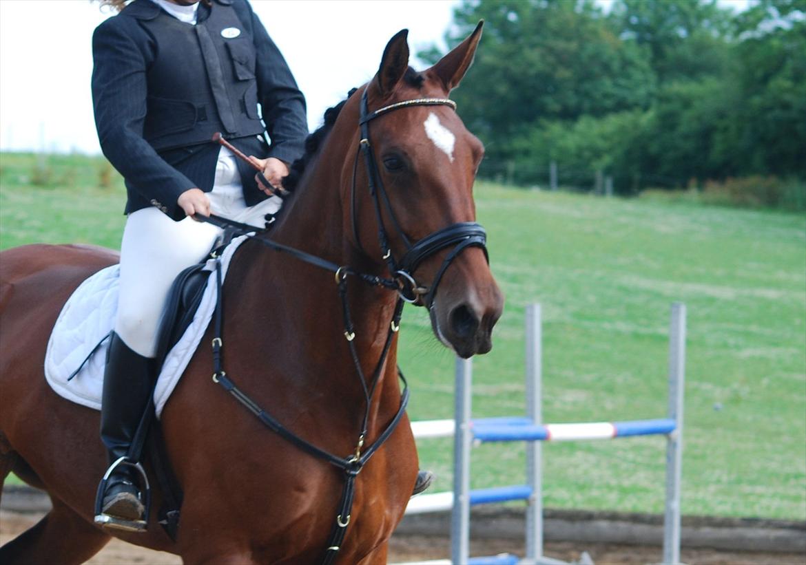 Oldenborg Cornelia - Os til stævne sommer 2011 billede 17