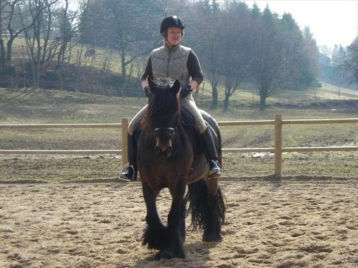 Fell pony Drybarrows Buster - Min skønne pony mule og jeg... billede 4