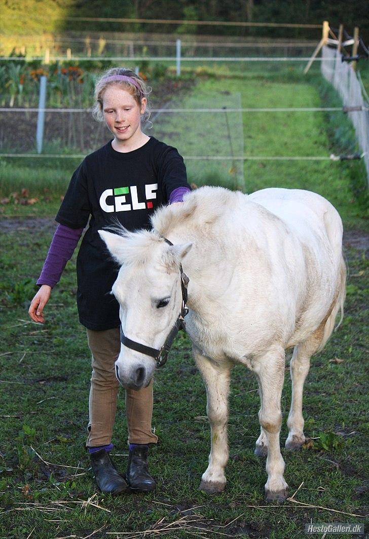 Anden særlig race Kasper billede 5