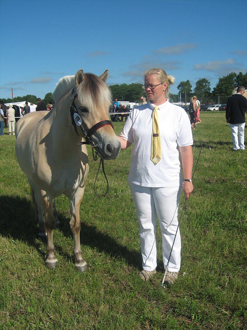 Fjordhest Merle Vårby # Solgt - Smukke Merle billede 12