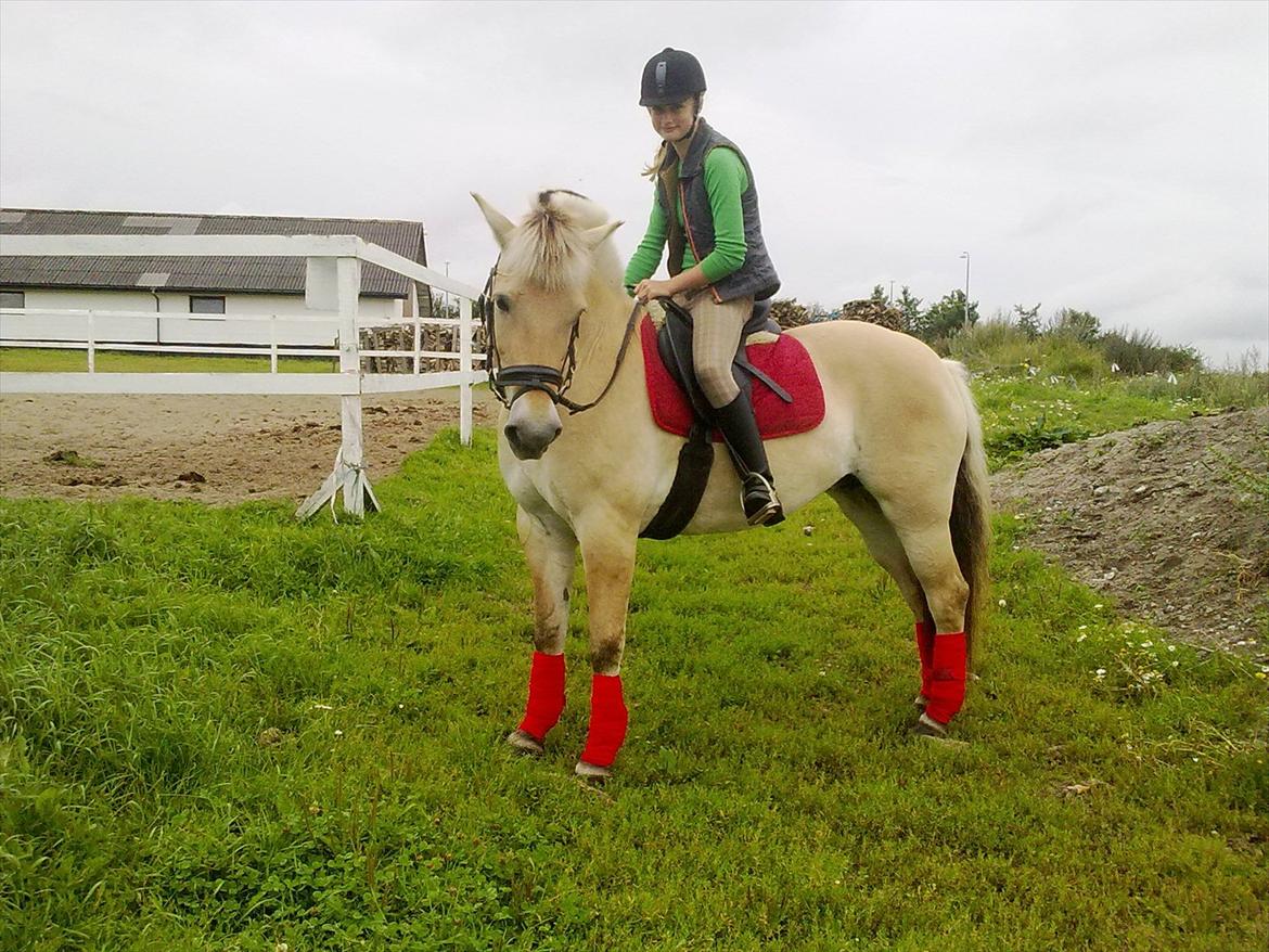 Fjordhest | Claudia - 11#
Lige kommet hjem fra undervisning i Arden :*
Foto: Min bedste veninde - Mathilde! billede 11