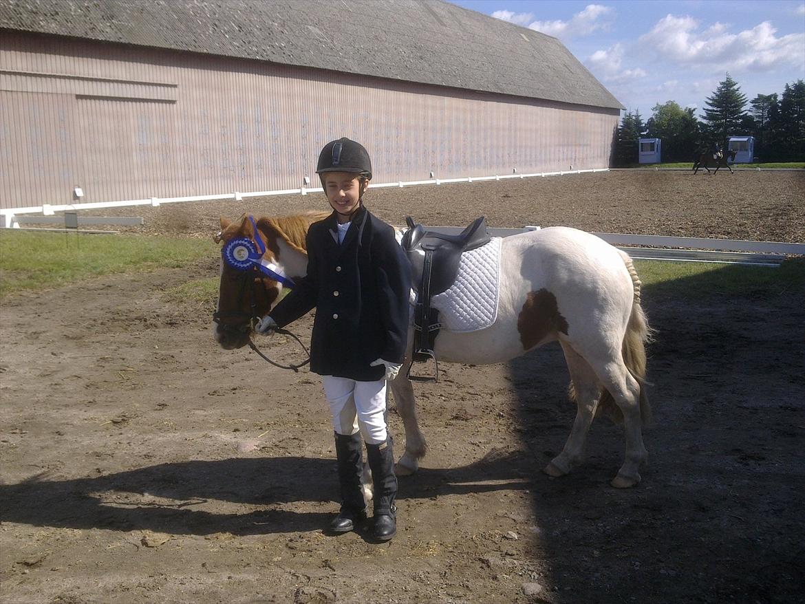 Anden særlig race Lolli - 2. plads til BELS kup 2011 billede 5