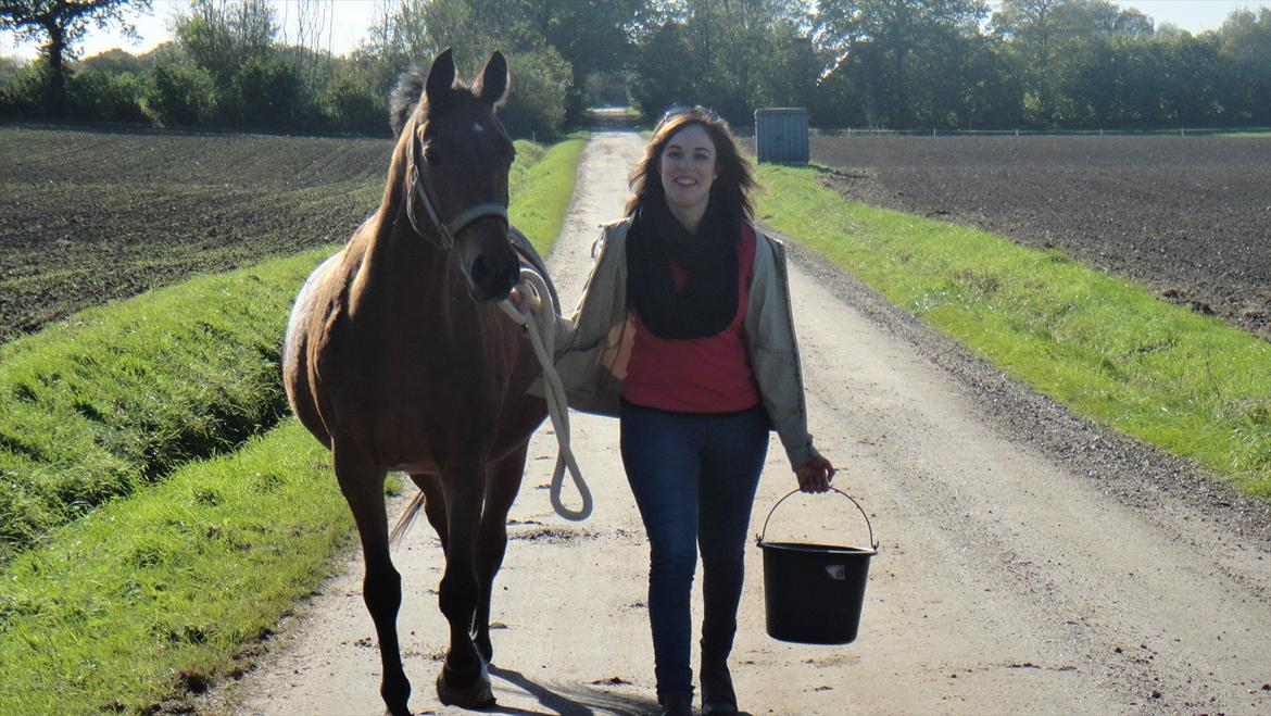 Anden særlig race Tequila - Sidste dag med ponypigen d. 13/10 2011 billede 1