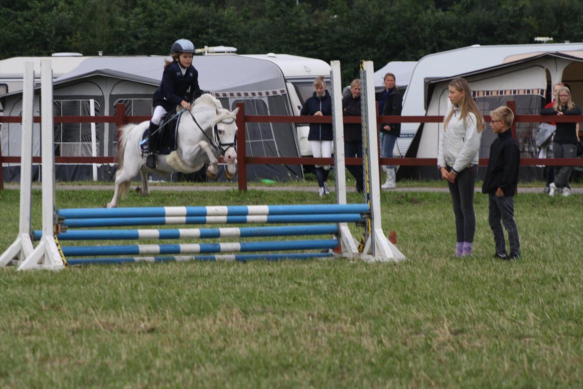 Anden særlig race GINIE!<3  (søsters pony) billede 2