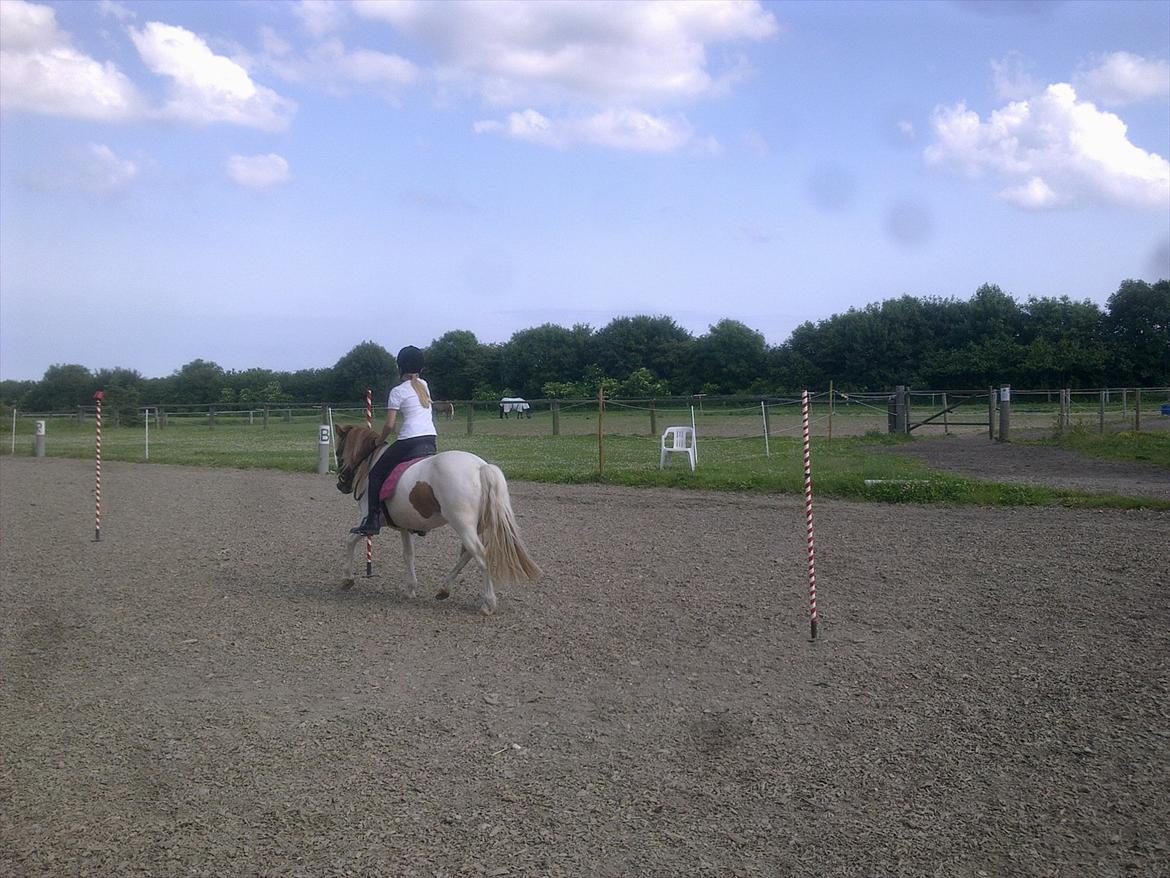 Anden særlig race Lolli - Hygge ponygames i weekenden (2011) billede 4