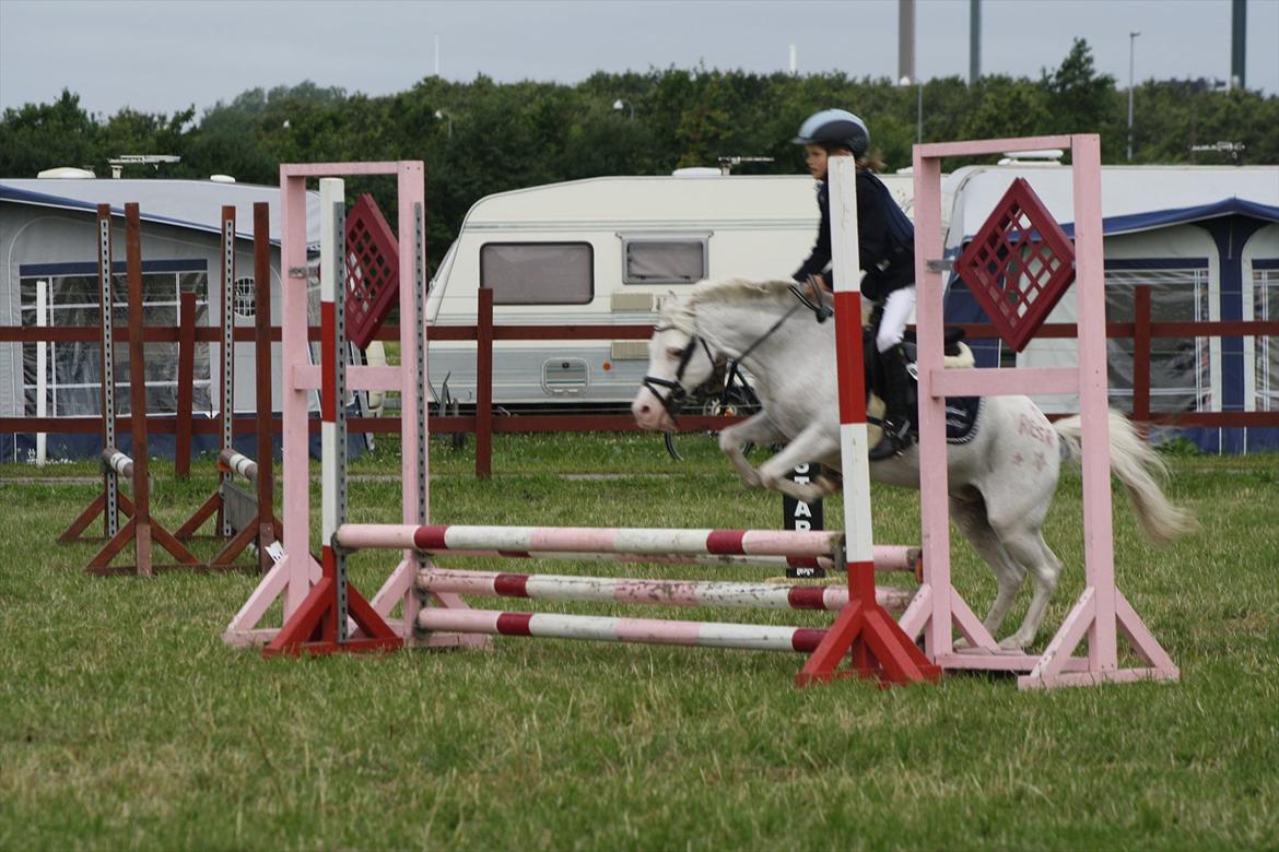 Anden særlig race GINIE!<3  (søsters pony) billede 3