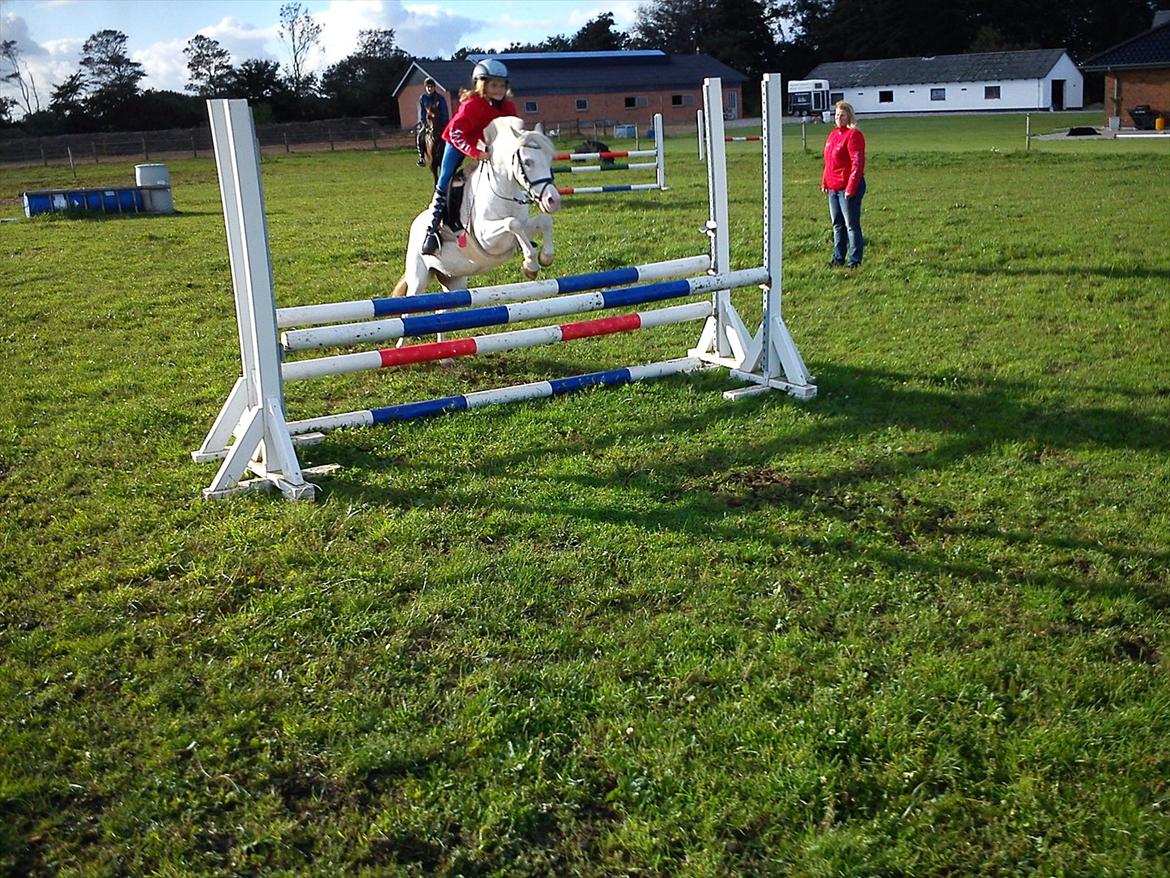 Anden særlig race GINIE!<3  (søsters pony) billede 4