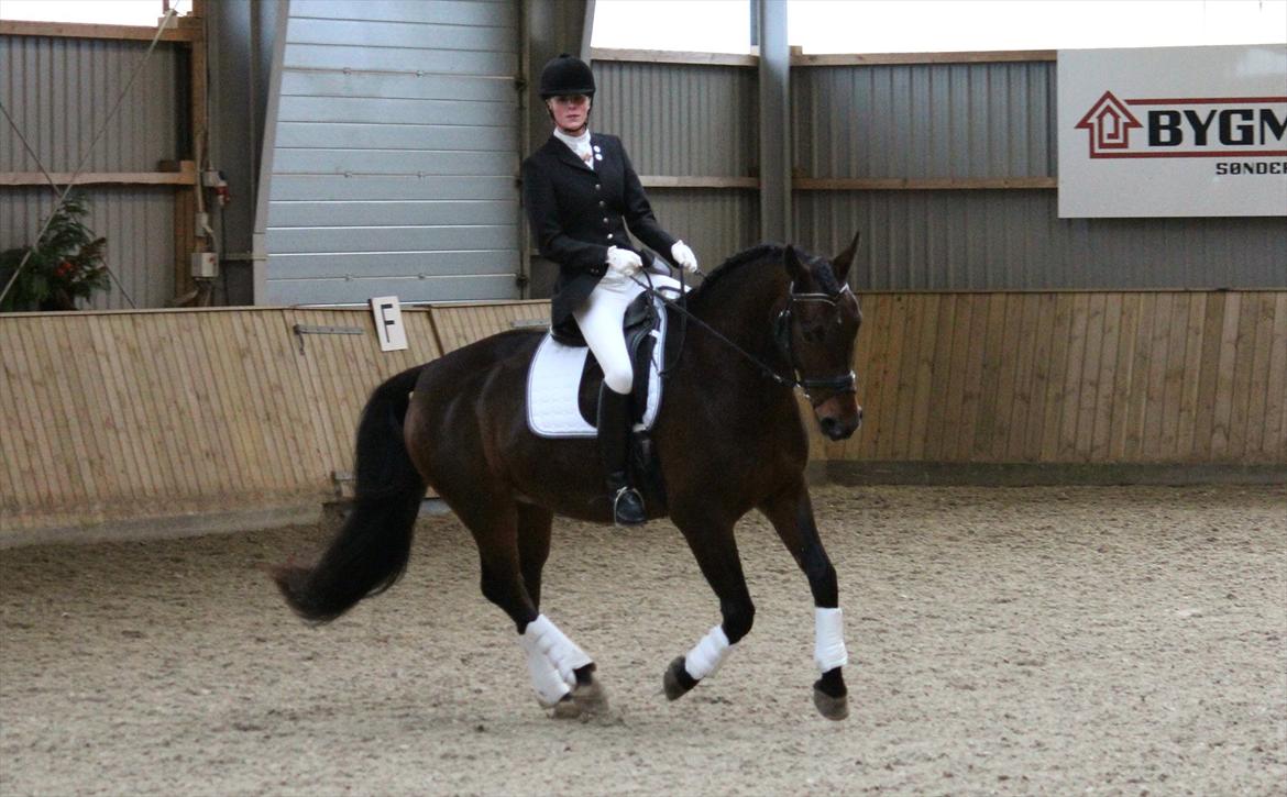 Oldenborg Taison billede 5