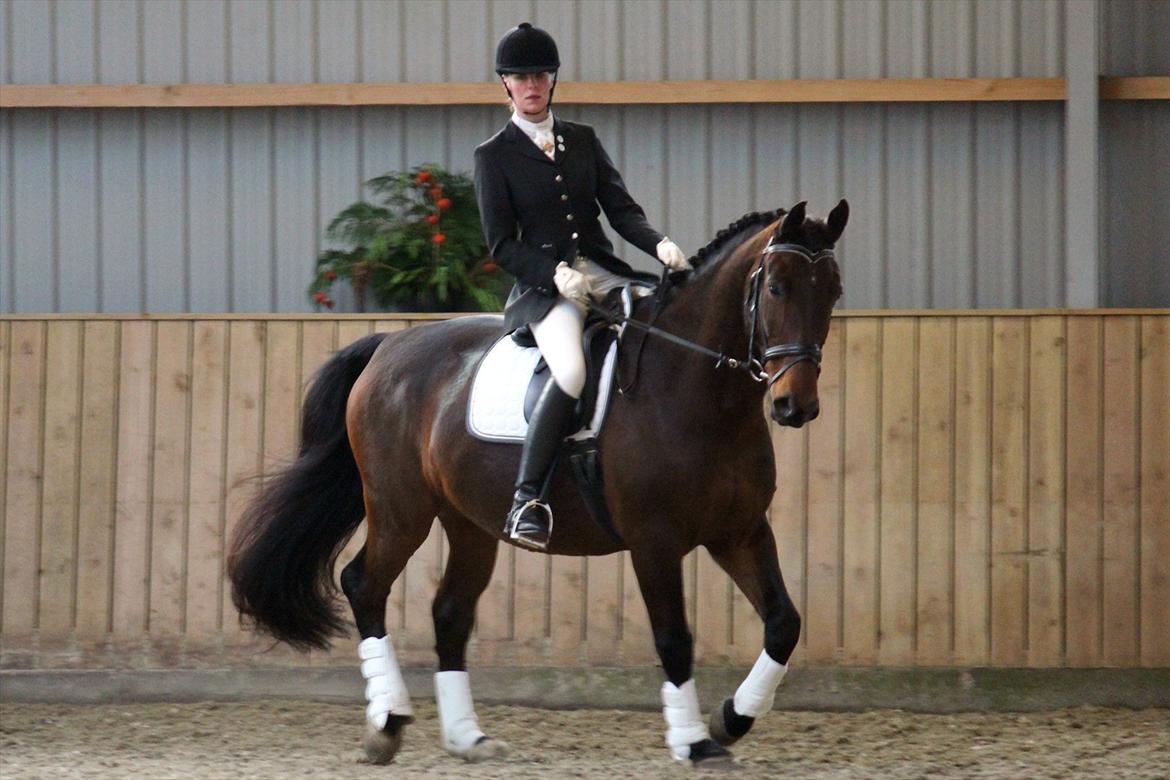 Oldenborg Taison billede 4